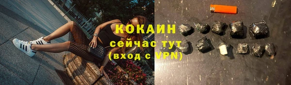 spice Вяземский